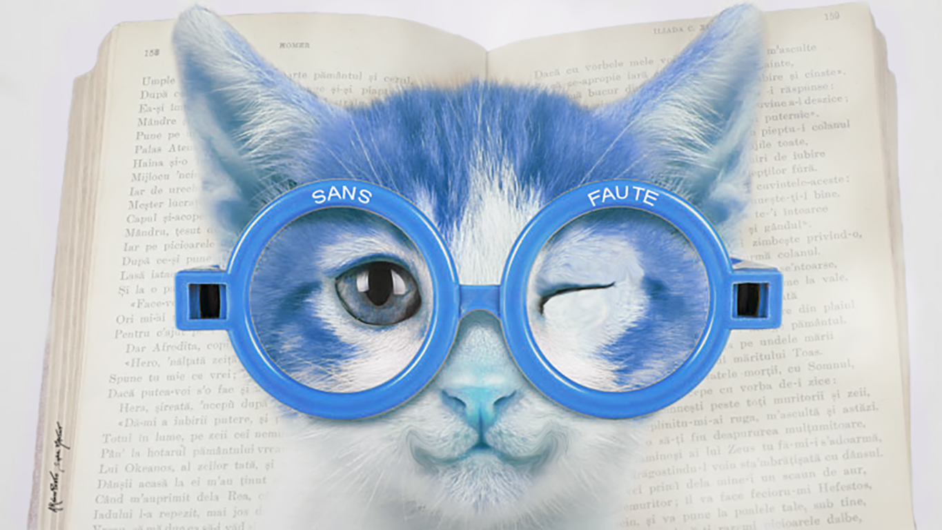 Toutes les Pages du chat bleu